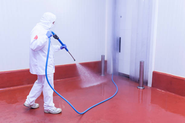 Best Driveway Cleaning and Restoration in Gardere, LA